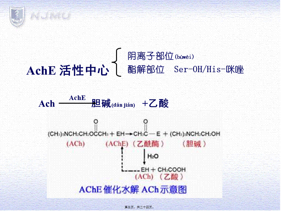 2022年医学专题—胆碱酯酶抑制药(1).ppt_第3页