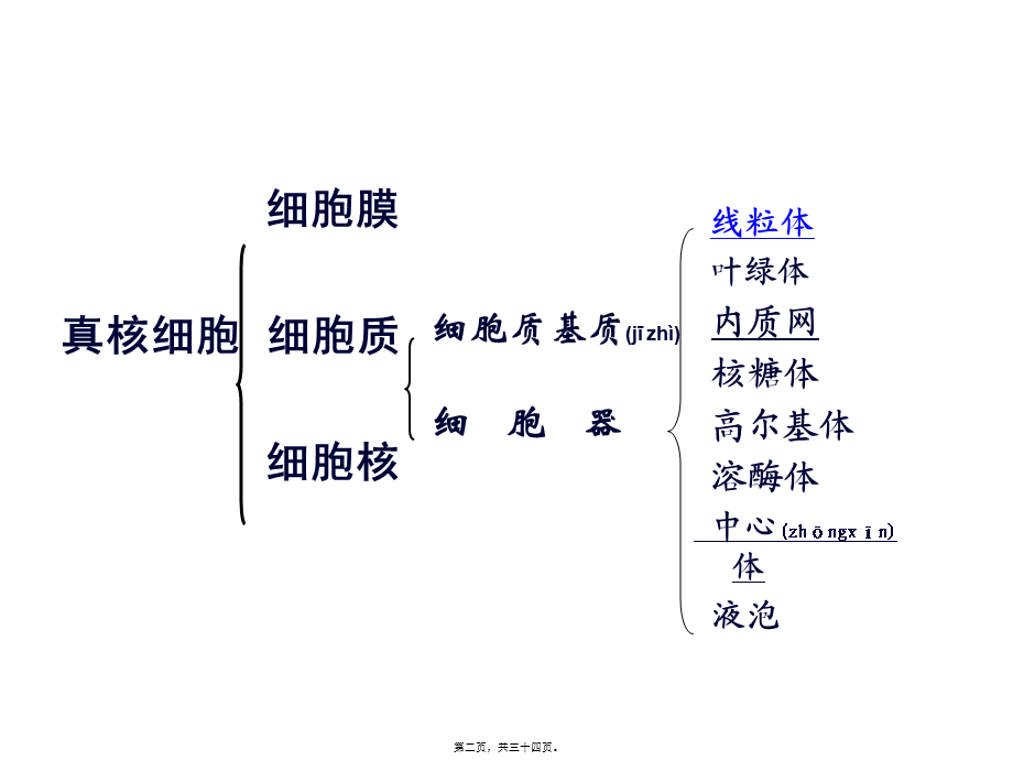 2022年医学专题—《细胞器--系统内的分工合作》(人教版必修1)(1).ppt_第2页