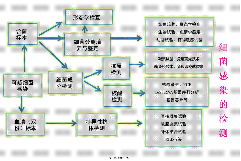 二细菌的生长繁殖消毒与灭菌.pptx_第1页