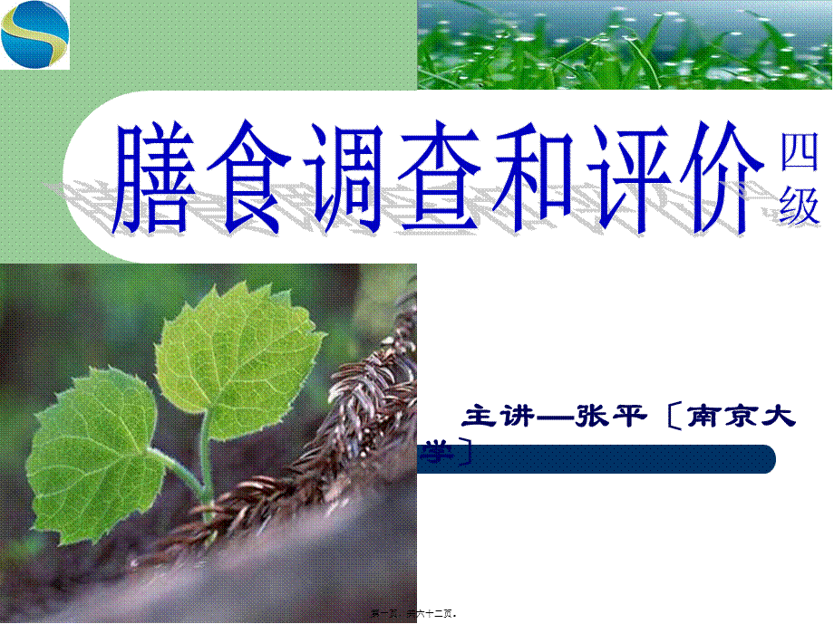 公共营养师第一章——膳食调查与评价(四级)-张平.ppt.pptx_第1页