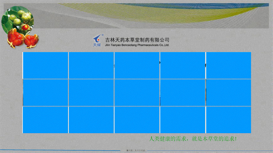 2022年医学专题—心舒胶囊--村医版(1).ppt_第3页