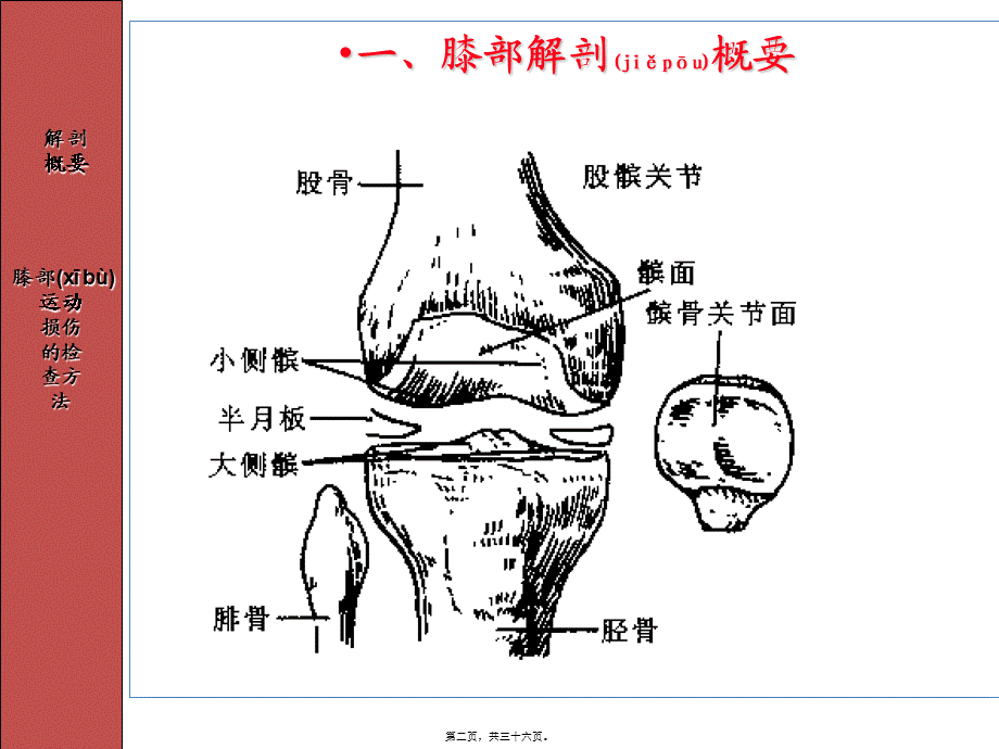 2022年医学专题—人体各部位运动损伤2(1).ppt_第2页