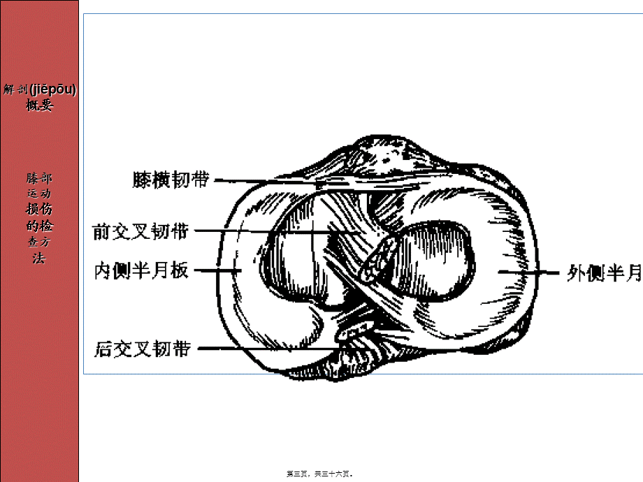 2022年医学专题—人体各部位运动损伤2(1).ppt_第3页