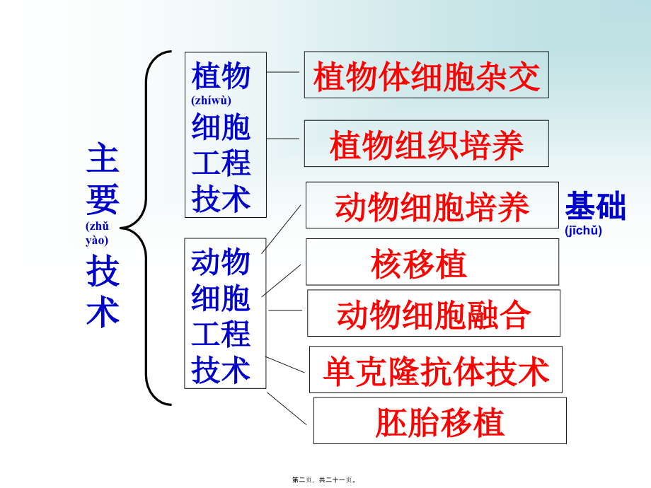 2022年医学专题—动物细胞培养和核移植技术上课.ppt_第2页