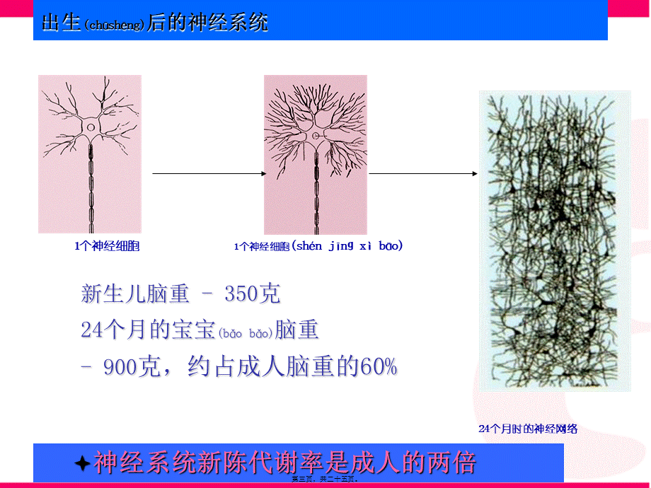 2022年医学专题—婴幼儿大脑发育第一课(1).ppt_第3页