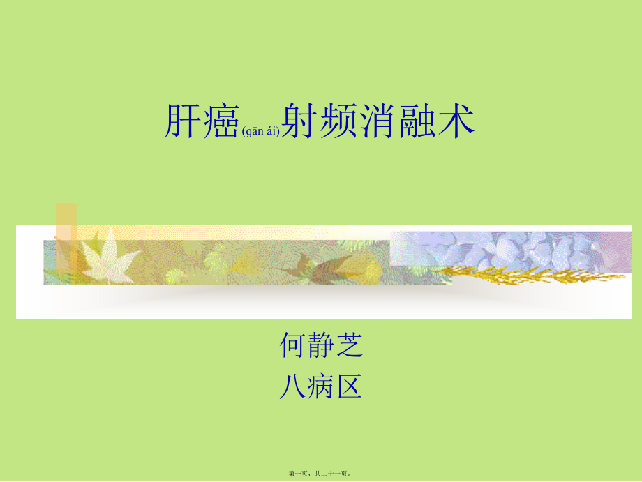 2022年医学专题—肝癌射频消融术1.ppt_第1页