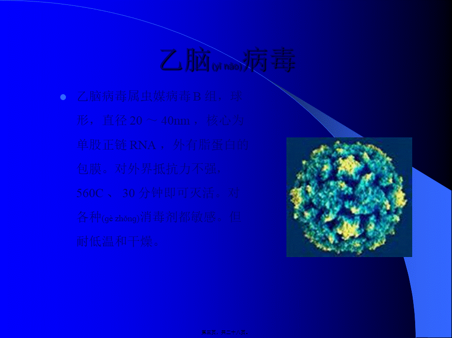 2022年医学专题—流-行-性-乙-型-脑-炎幻灯片(1).ppt_第3页