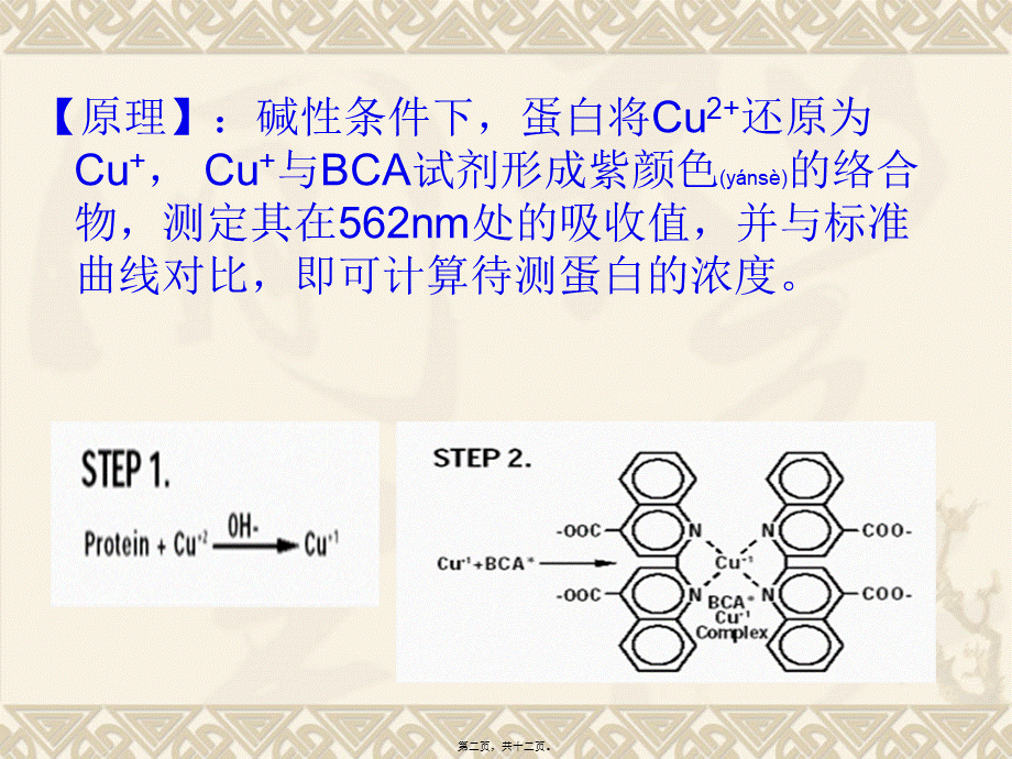 2022年医学专题—BCA法测蛋白1(1).ppt_第2页