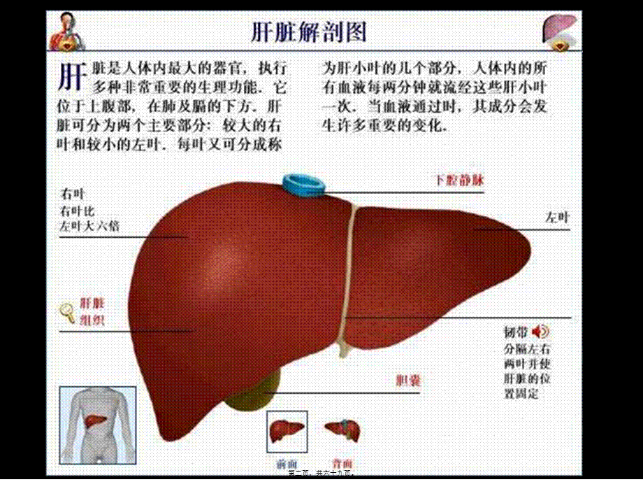 2022年医学专题—江西最好的肝病医院-肝病治好了(1).ppt_第2页