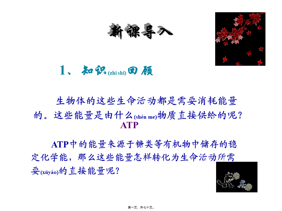 2022年医学专题—ATP的主要来源——细胞呼吸-(共69张ppt)(1).ppt_第1页