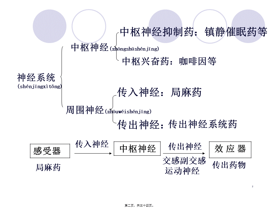 2022年医学专题—传出神经系统药讲义(1).ppt_第2页