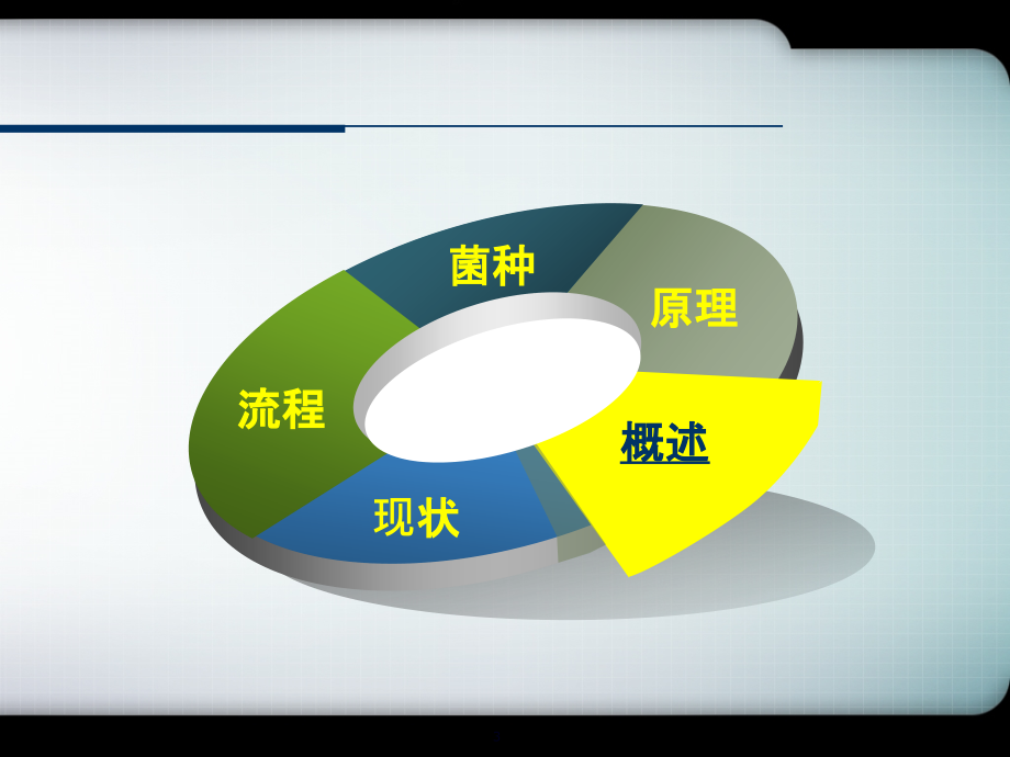 含砷金矿的细菌预处理工艺.ppt_第3页