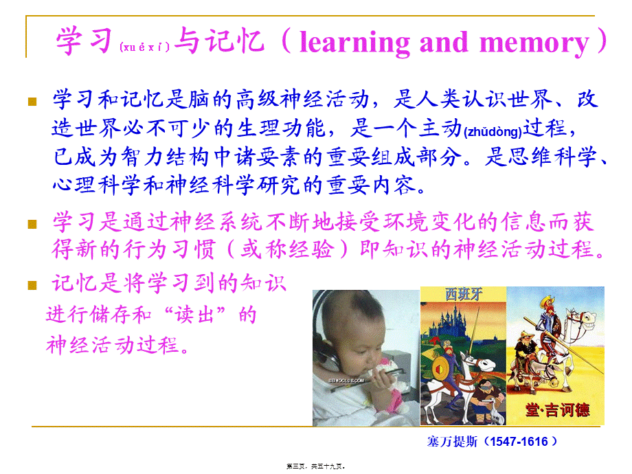 2022年医学专题—脑的高级整合功能2010(1).ppt_第3页