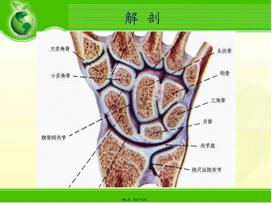 2022年医学专题—腕关节骨折(1).ppt_第2页