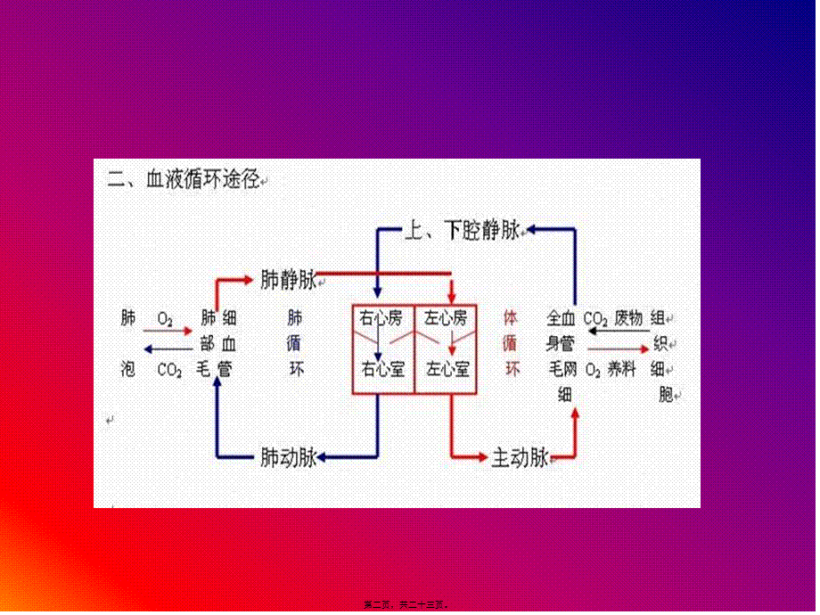 2022年医学专题—咯血的初步抢救(1).ppt_第2页