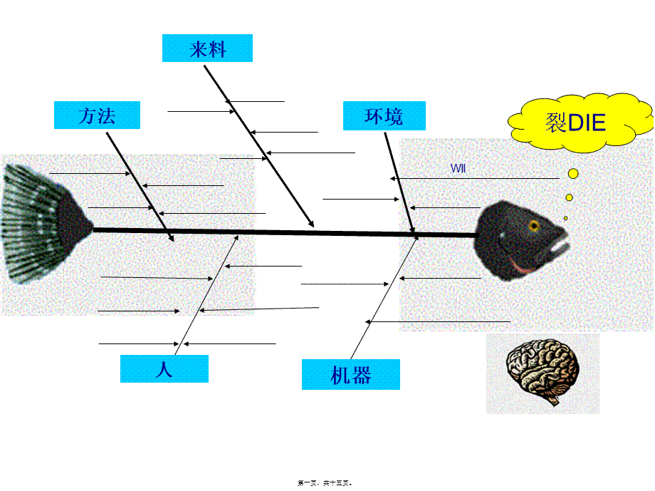 各种鱼骨图.pptx_第1页