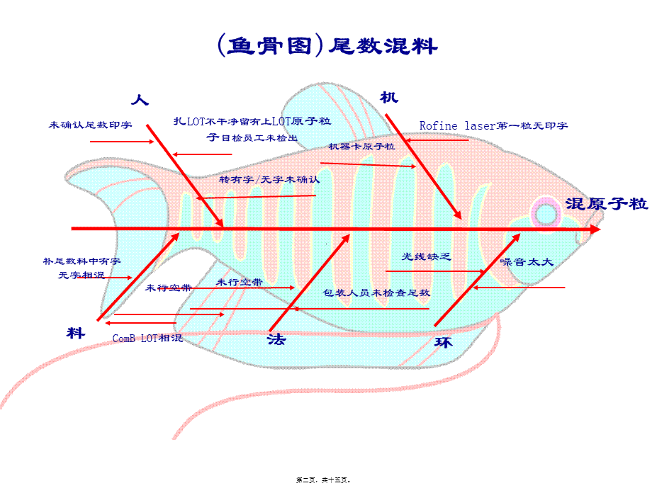 各种鱼骨图.pptx_第2页