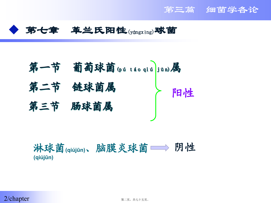 2022年医学专题—第二篇-细菌学各论(1).ppt_第2页