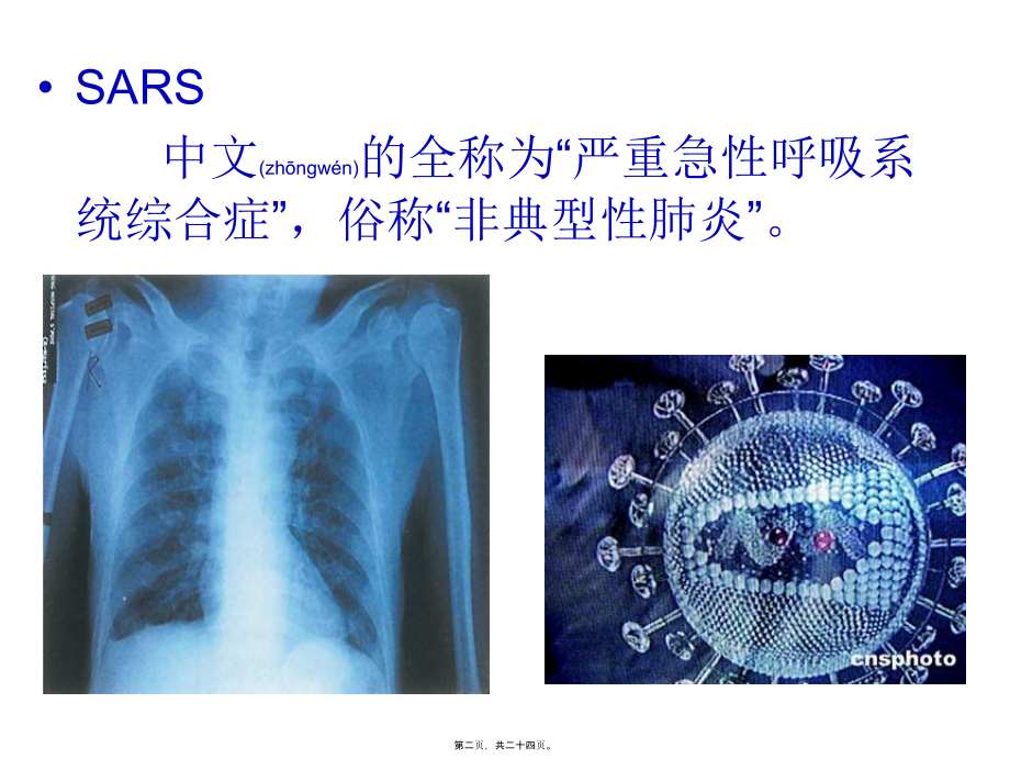 2022年医学专题—第一节走近细胞.ppt_第2页