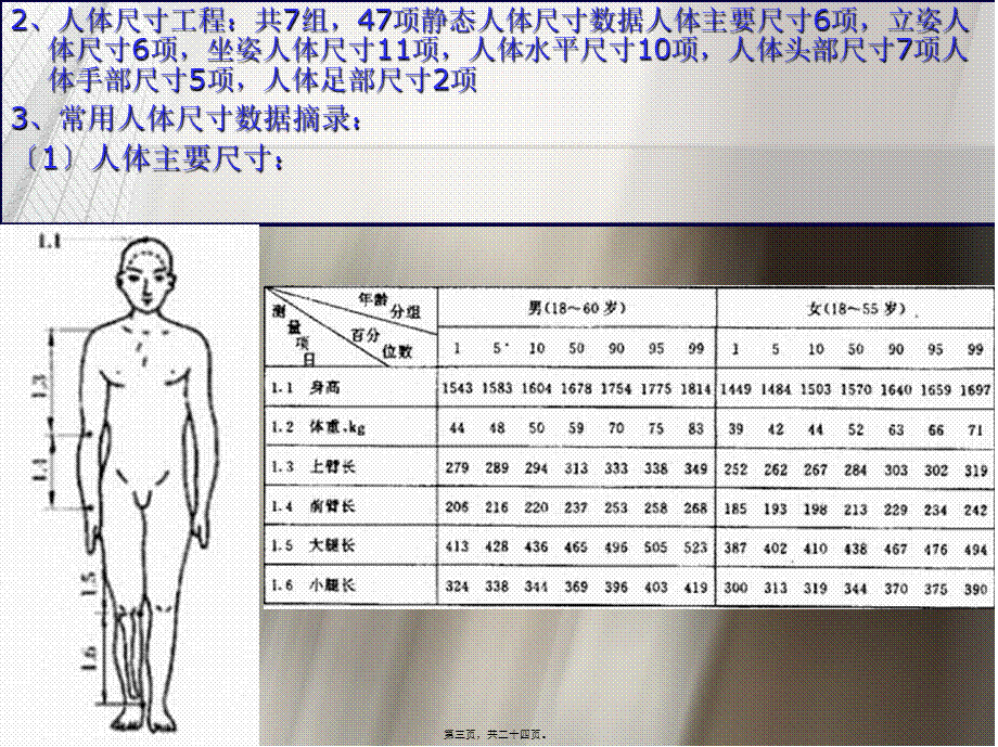 人体尺寸及其应用方法..pptx_第3页