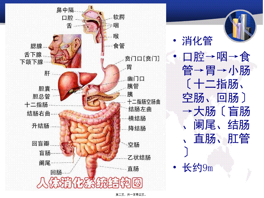 传染病-尹慧丝2015讲义.pptx_第2页