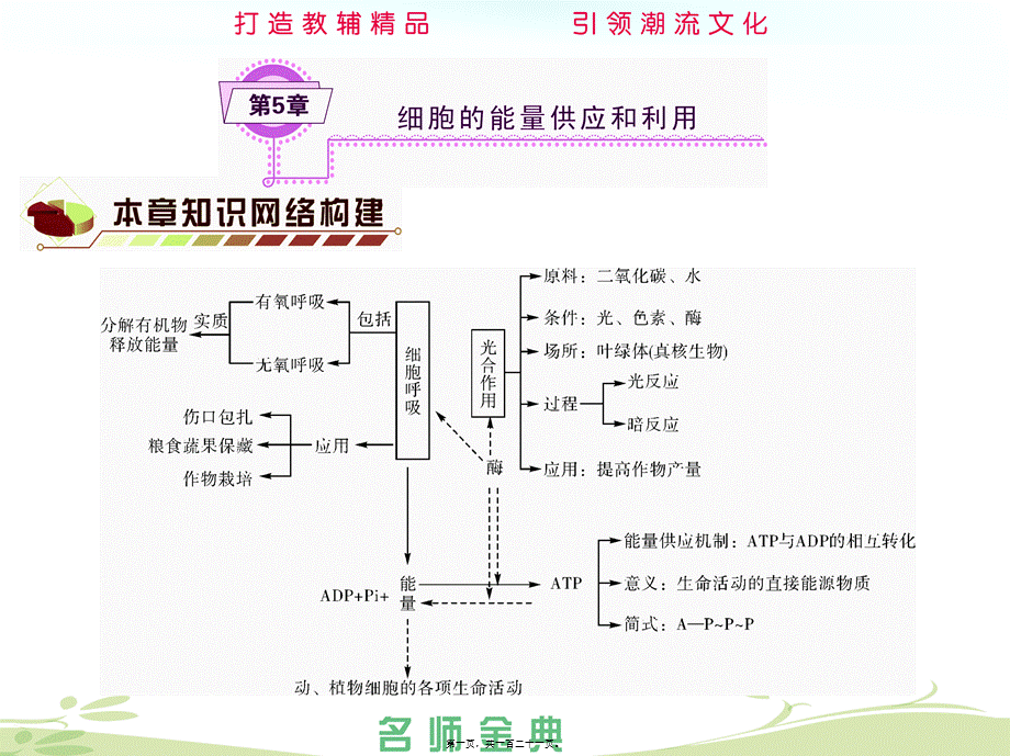 2022年医学专题—第5章细胞的能量供应和利用(1).ppt_第1页