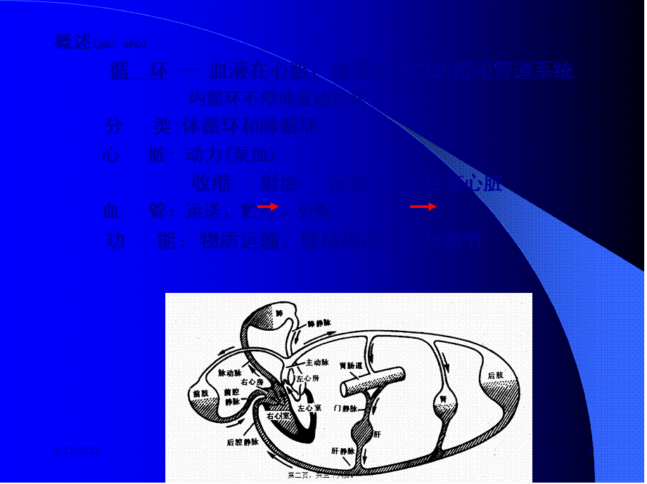 2022年医学专题—第三讲---血液循环应用.ppt_第2页