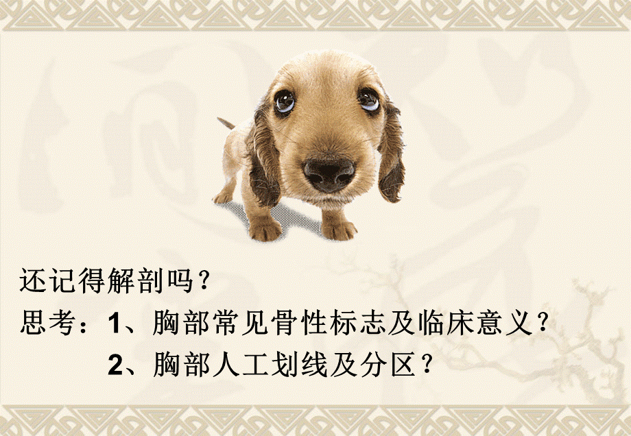 chapter4肺与胸膜评估(1).ppt_第2页