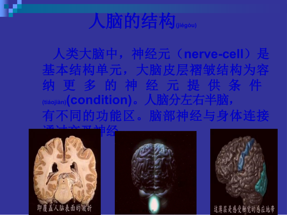 2022年医学专题—大脑与创新(1).ppt_第2页