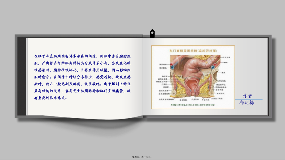 在肛管和直肠周围有许多潜在的间隙.pptx_第2页