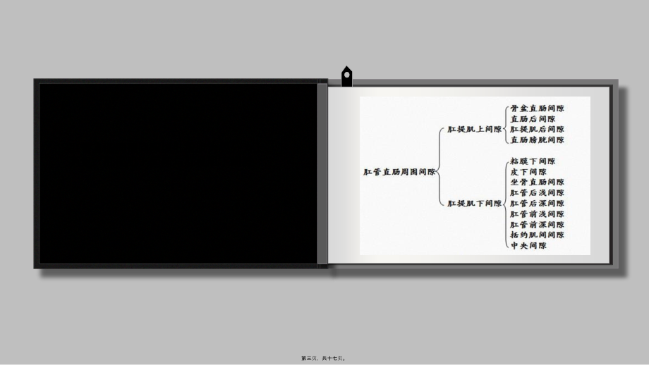 在肛管和直肠周围有许多潜在的间隙.pptx_第3页