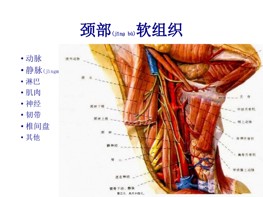 2022年医学专题—急性颈部软组织损伤.pptx_第3页