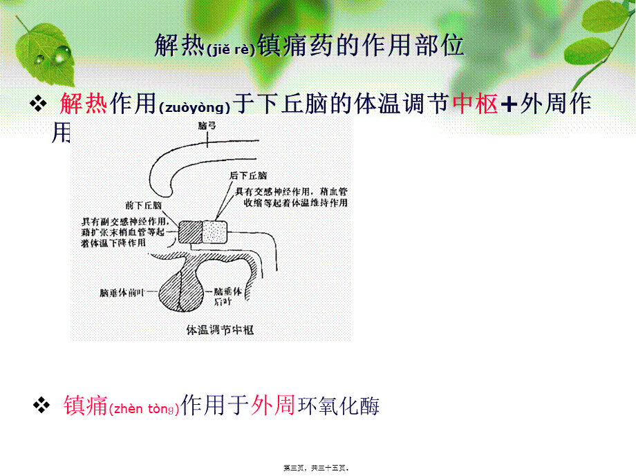 2022年医学专题—第六章--解热镇痛药和非甾体抗炎药.ppt_第3页