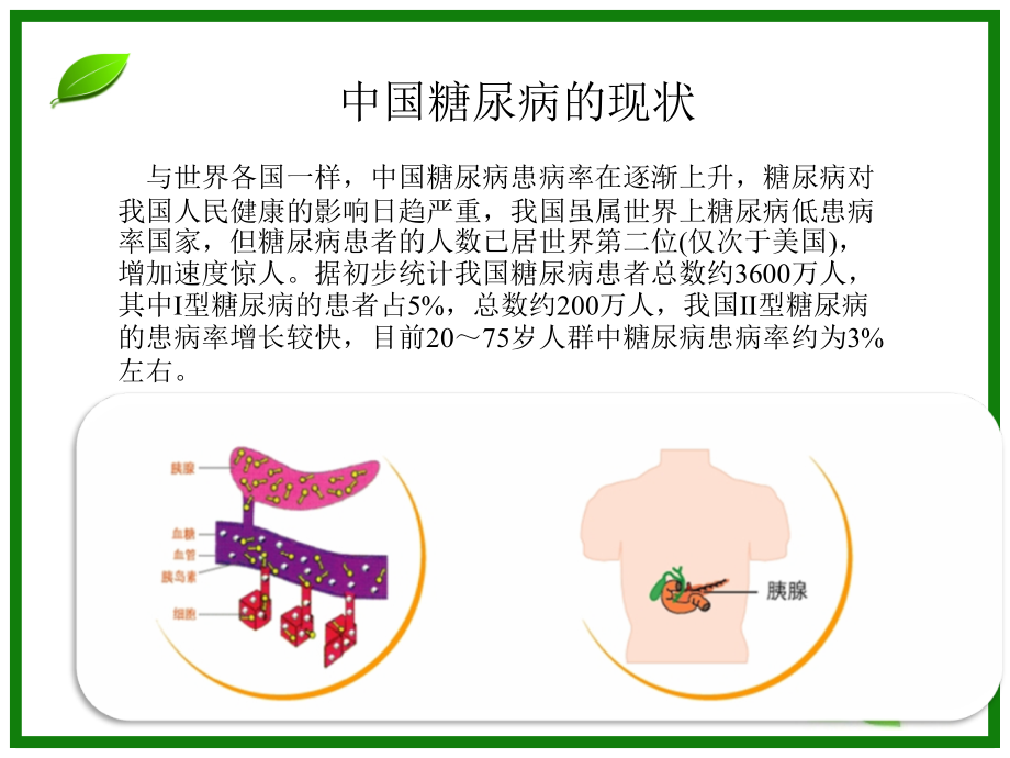 糖尿病PPT.ppt_第3页