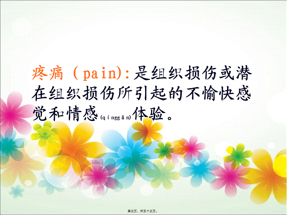 2022年医学专题—疼痛及疼痛处理流程(1).ppt_第3页