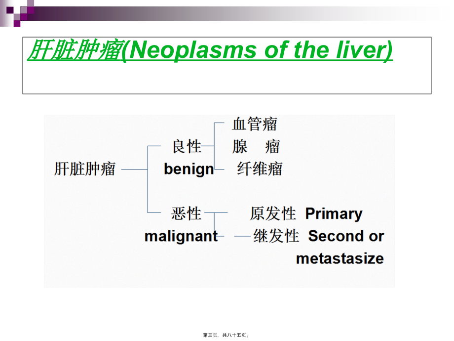 原发性肝癌--张帅.pptx_第3页