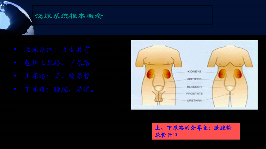 单纯性尿路感染.pptx_第1页