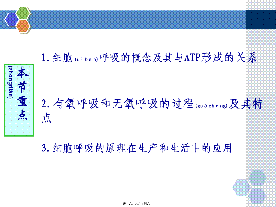 2022年医学专题—第五章第3节ATP的主要来源—细胞呼吸..(1).ppt_第2页