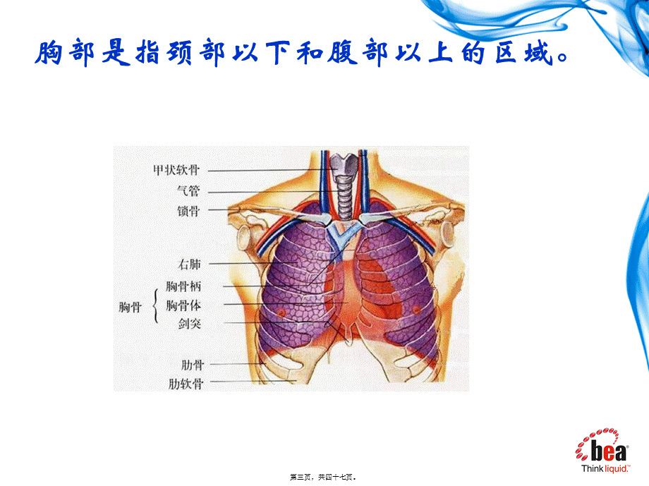 健康评估-胸部检查(理论).pptx_第3页