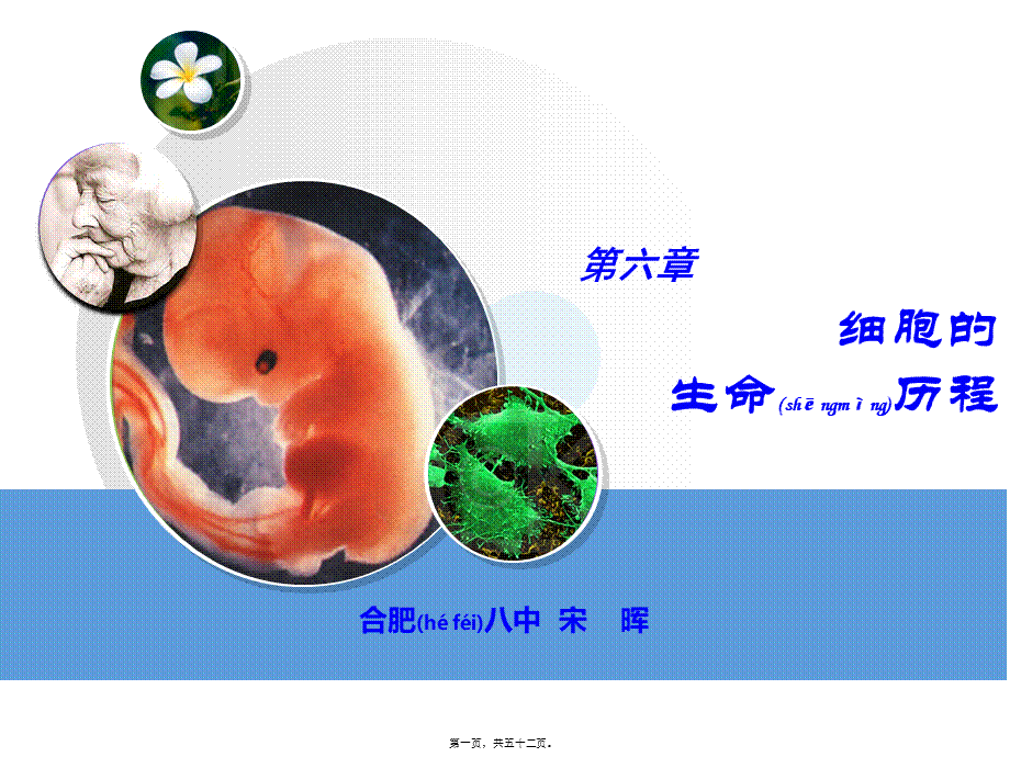 2022年医学专题—第六章-细胞分化、衰老、凋亡和癌变-综合(1).pptx_第1页