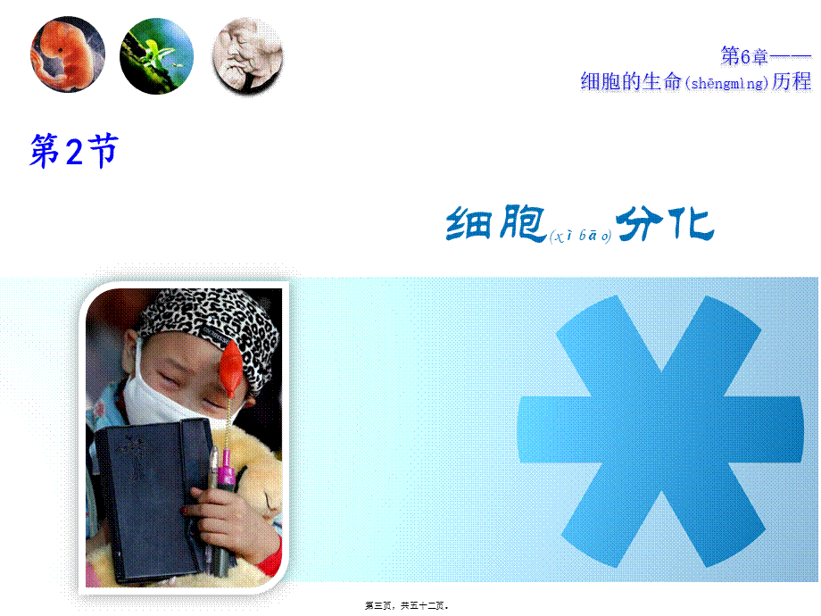 2022年医学专题—第六章-细胞分化、衰老、凋亡和癌变-综合(1).pptx_第3页