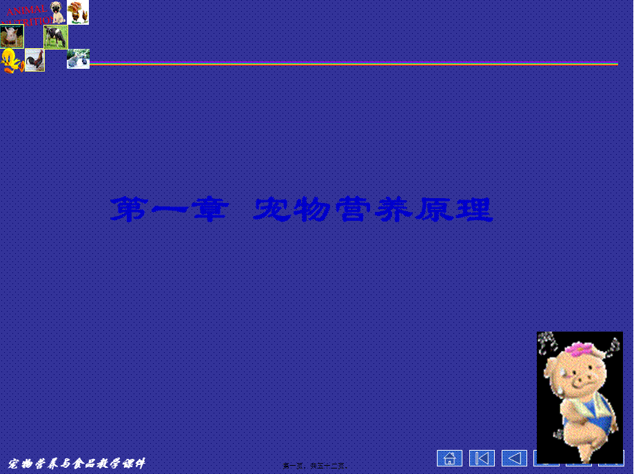 宠物营养学基本知识(能量与宠物营养)分析.pptx_第1页
