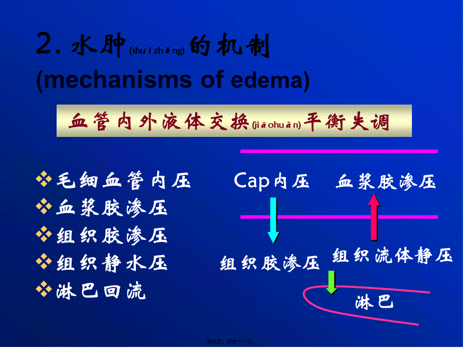 2022年医学专题—病生水电-2水肿(1).ppt_第3页