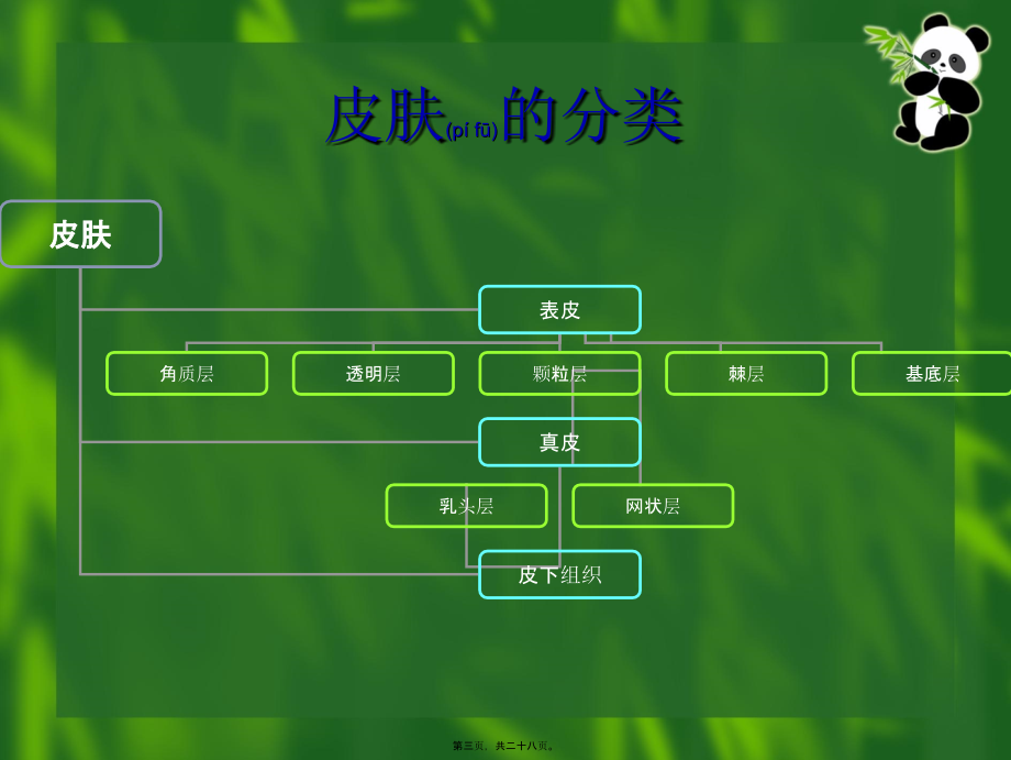 2022年医学专题—皮肤理论知识(新员工).ppt_第3页