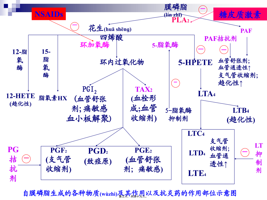 2022年医学专题—第20章--解热镇痛抗炎药0(1).ppt_第3页