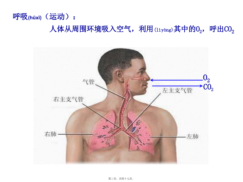 2022年医学专题—必修1、3-4、细胞呼吸.(1).ppt_第3页