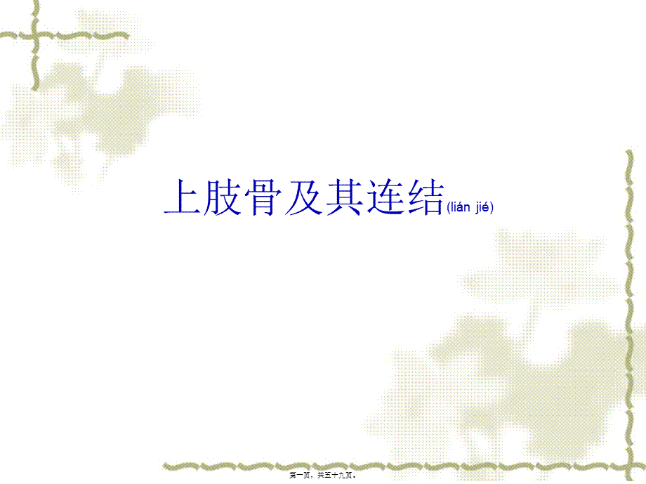 2022年医学专题—上肢骨及其连结、下肢骨及其连结2(1).ppt_第1页