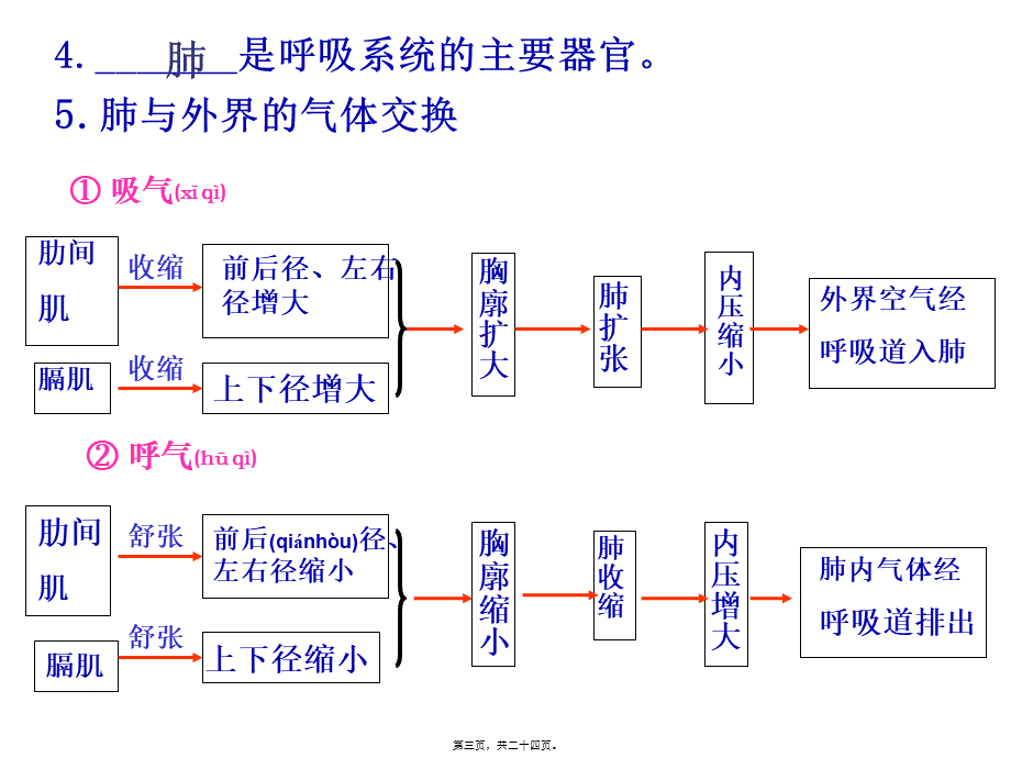 2022年医学专题—发生在肺泡内的气体交换2(1).ppt_第3页