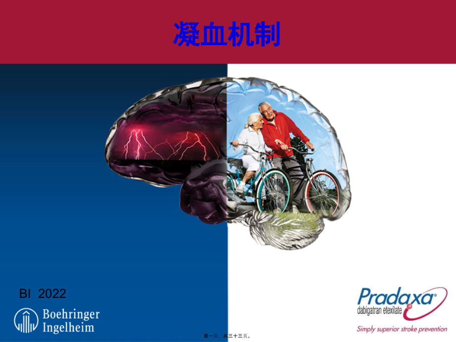 凝血机制.pptx_第1页