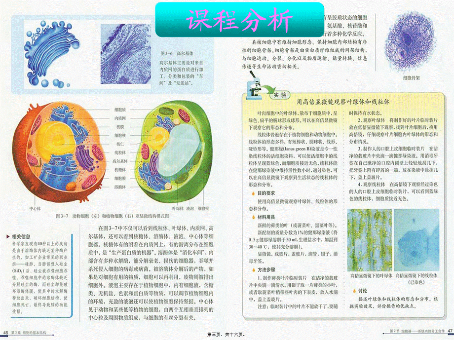 《细胞器——系统内的分工合作》说课稿-(1)-(1).ppt_第3页